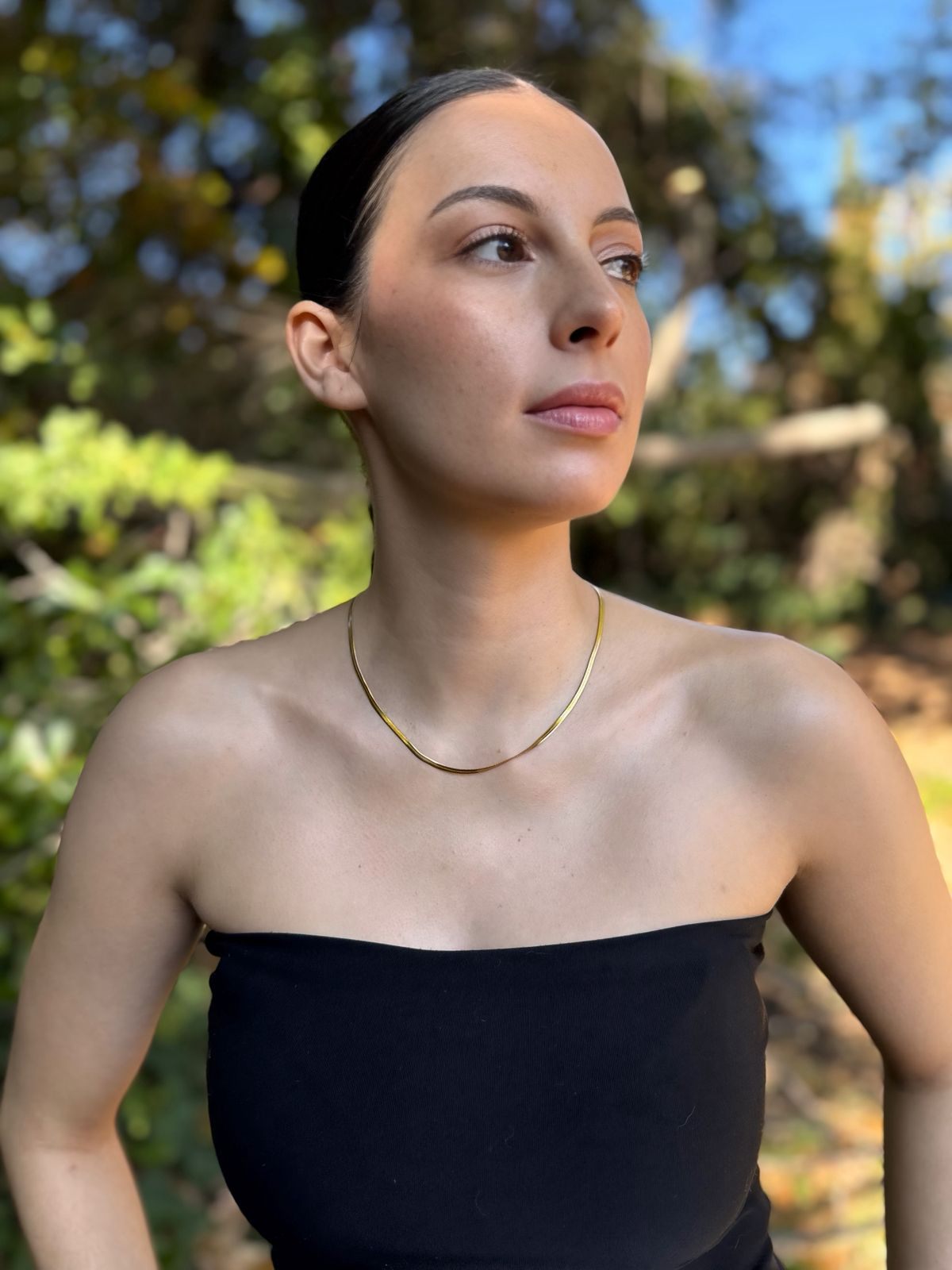 Collar Plano